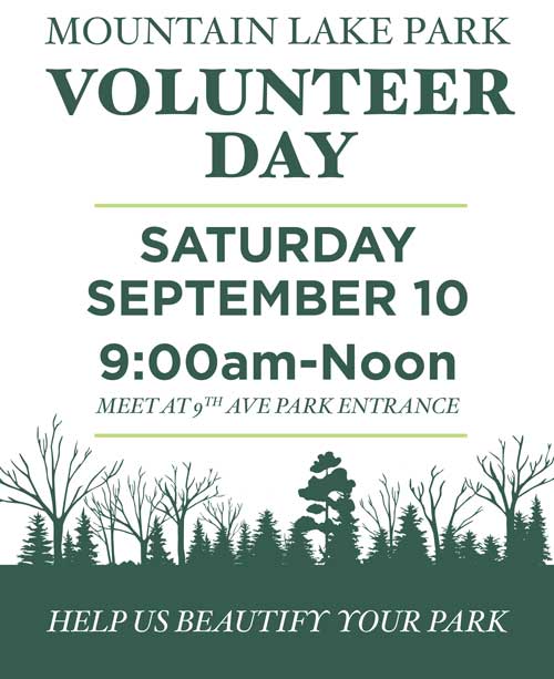 mlp_volunteer_2016c